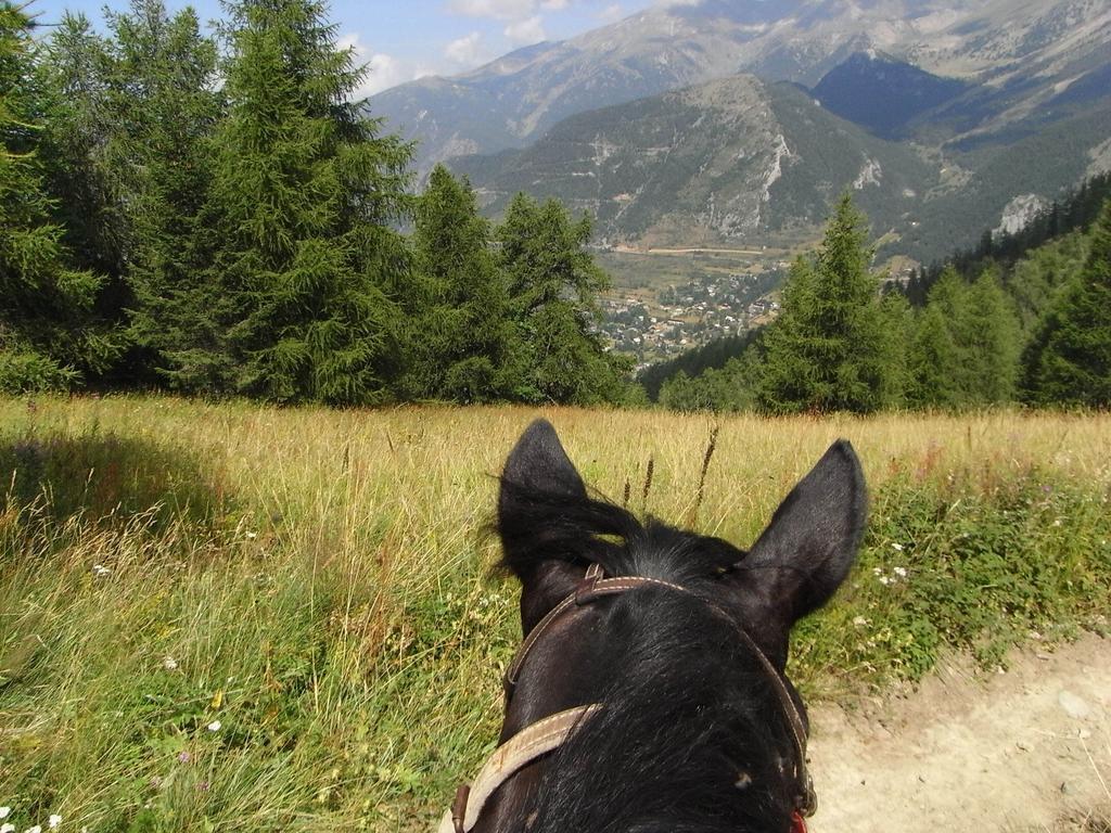 Gite Montagne Mercantour Villa Valdeblore Eksteriør billede